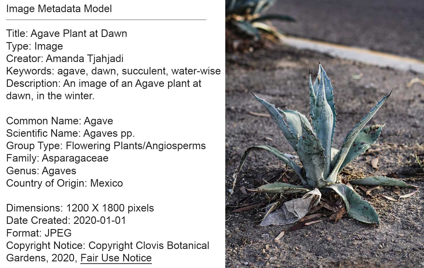 Example of a metadata model